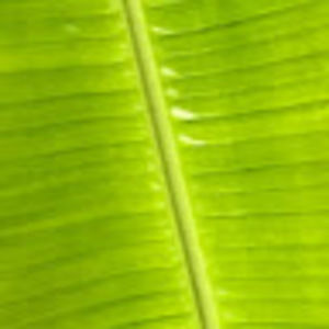 Meet your Posher, Sally